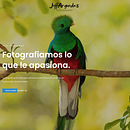 Jeff Arguedas Fotografia. . Un progetto di Fotografia, Fotografia digitale, Fotografia all'aperto, Fotografia gastronomica e Fotografia per Instagram di Jeffry Arguedas - 22.11.2020