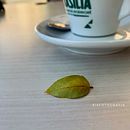 Mi Proyecto del curso: Fotografía profesional para Instagram. Food Photograph project by Fátima SD - 11.29.2020