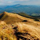 Como as montanhas me transformaram em designer . Stor și telling de Mauro Albuquerque - 11.25.2020