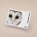 Postal Stamps - Owls. Digital Drawing, Graphic Design, Traditional illustration, and Vector Illustration project by Luísa Rocha - 11.26.2020