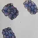 Homemade paints beetroot, blackberry and kurkuma.. Un progetto di Pittura ad acquerello di Sara - 26.11.2020