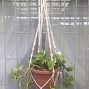 Inicios. Un proyecto de Macramé de Jacqueline - 26.11.2020