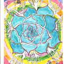 Echeveria lilacina . Lukisan Cat Air proyek oleh Paola Ëast - 11.26.2020