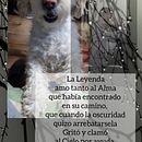 Mi Proyecto del curso: Creación y edición de contenido para Instagram Stories. Un proyecto de Instagram de Mabel Ballón - 30.11.2020