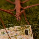 Mi Proyecto del curso: Introducción a la fotografía macro Ein Projekt aus dem Bereich Fotografie von César Angulo González - 01.12.2020