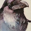 Neues Projekt: Aquarell mit Farbstiften & Gouache. Un proyecto de Pintura a la acuarela de marisa_maag - 02.12.2020