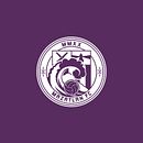 Mazatlán FC ReBranding Project Ein Projekt aus dem Bereich Br und ing und Identität von Jorge Armando Herrera Echauri - 20.06.2020