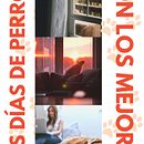 Los días de perros son los mejores. Un progetto di Cop e writing di Margalida Mesquida Artigues - 05.12.2020
