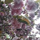 one-size-fits-all pants. Un progetto di Cucito di Nefeli A - 05.12.2020