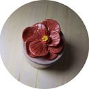 Mi Proyecto del curso (aún por finalizar): Técnicas de ilustración y modelado en cerámica Ein Projekt aus dem Bereich Bildende Künste von Aïda Alo - 06.02.2021