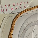 Mi Proyecto del curso: Técnicas de bordado experimental sobre papel. Een project van Borduurwerk van Uriel Garibay Román - 08.12.2020