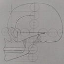 Mi Proyecto del curso: Dibujo anatómico para principiantes. Un progetto di Bozzetti, Disegno e Disegno a matita di Mauricio M. Sánchez - 08.12.2020