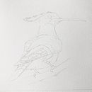 My project in Artistic Watercolor Techniques for Illustrating Birds course . % Alan Skyrme tarafından hazırlanan Geleneksel illüstras, Ve on projesi - 12.09.2020