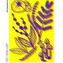 Estamos sob a influência de fortes psicotrópicos. Un proyecto de Ilustración botánica de Frances Sansão - 09.11.2019