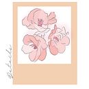 Flores de la Villa. Traditional illustration, Design, and Graphic Design project by Macarena Di Gregorio - 12.11.2020