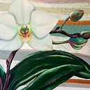 Pinturas · Dibujo Artístico. Fine Arts, Artistic Drawing, Traditional illustration, Painting, Acr, and lic Painting project by Pamela Gómez Campos - 12.14.2020