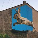 oH, it's a RABBIT!. Street Art, Traditional illustration, and Naturalistic Illustration project by Lara Gombau - 12.15.2020