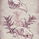 Predator and Prey. Un progetto di Illustrazione tradizionale di Chema G. Baena Art - 18.12.2020