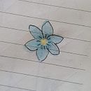 Flor. Un projet de Dessin au cra , et on de Milén Rojas - 17.12.2020