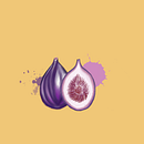 Figs with Autodesk SketchBook Ein Projekt aus dem Bereich Botanische Illustration, Digitale Malerei und Verpackung von Linda Felici - 17.12.2020