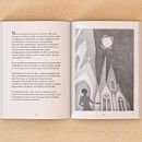 Encuentro córvido. Sketching, Creativit, Drawing, Pencil Drawing, Editorial Design, Writing, Editorial Illustration, Traditional illustration, and Narrative project by Marcelo Perez Izco - 12.23.2020
