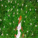 Mi Proyecto del curso: Ilustración de escenas narrativas en acuarela Ein Projekt aus dem Bereich Traditionelle Illustration und Aquarellmalerei von irma95 - 19.12.2020