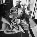 Mis mejores modelos Ein Projekt aus dem Bereich Porträtfotografie von Jorge Montero - 25.12.2020