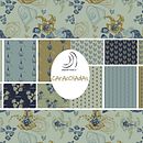 PROYECTO FINAL - CARACOLADAS. Un proyecto de Diseño de ANA ONTIYUELO - 26.12.2020