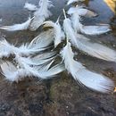 "El peso de ser así". Vídeo-poema, primer proyecto del curso Edición y narrativa audiovisual.. Een project van Film, video en televisie van Javier Bustamante Enriquez - 26.12.2020