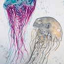 Moderne Aquarelltechniken - Quallen. Projekt z dziedziny Malowanie akwarelą użytkownika jesssoul - 28.12.2020