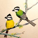 Primera pintura de aves. Een project van Schilderij van Cristina Cartes Villazón - 27.12.2020