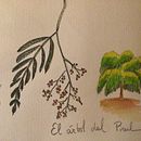 Cuaderno botánico en acuarela. Un proyecto de Pintura a la acuarela de maidemarco - 27.12.2020
