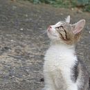 Kunkie Canon . Fotografi Instagram proyek oleh Darymar Renta-Aymat - 12.29.2020