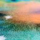 Colours of nature. Watercolor Painting project by Evie McRae Pindsle - 12.29.2020