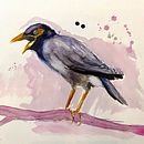 Kursprojekt Birds in Aquarell . Pictură în acuarelă de Mari Kra - 12.29.2020