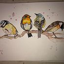 My project in Artistic Watercolor Techniques for Illustrating Birds course. Een project van  van Gem Atherton - 29.12.2020