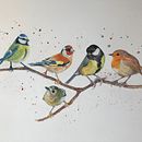 My project in Artistic Watercolor Techniques for Illustrating Birds course Ein Projekt aus dem Bereich Aquarellmalerei von Nigel Hackett - 30.12.2020