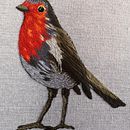 Mi Proyecto del curso: Pintar con hilo: técnicas de ilustración textil. Un proyecto de Bordado de Nilton Da Silva Silva - 01.01.2021