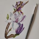 Mi Proyecto del curso: Ilustración botánica con acuarela. Botanical Illustration project by Eloisa Gutiérrez - 01.01.2021