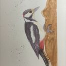 Mein Kursprojekt: Illustriere Vögel mit expressiven Aquarelltechniken. Pintura em aquarela projeto de Jan Dober - 18.01.2021