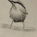U2 projects Ein Projekt aus dem Bereich Aquarellmalerei von telinkristinsdottir - 02.01.2021