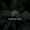 Gyphemp Tesai. Een project van  Br, ing en identiteit y Logo-ontwerp van Bryan Ricardo Cuasapaz - 15.12.2020