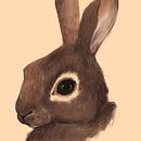 Conejo europeo común. Un proyecto de Ilustración digital e Ilustración naturalista				 de Veruska Maceiras - 03.01.2021
