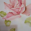 Rosa rosa Ein Projekt aus dem Bereich Botanische Illustration von Mónica Brusco - 03.01.2021