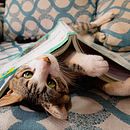 Mi Proyecto del curso: Composición y edición fotográfica para Instagram. Animation project by solangelcm412 - 01.06.2021