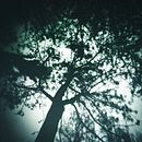 Mi Proyecto del curso: Fotografía estenopeica creando tu propia cámara. Paisajes minimos.. Een project van  Tekening y Collage van pajaro1 - 04.01.2021