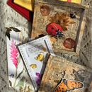 Ilustración Científica un proyecto de Herbario ilustrado. Un projet de Beaux Arts, Design , DIY, Illustration traditionnelle et Illustration botanique de María Fernanda - 05.01.2021