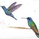 My project in Artistic Watercolor Techniques for Illustrating Birds course. Un progetto di Pittura ad acquerello di Jan Donnelly - 05.01.2021