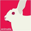 Mi Proyecto del curso: Bases del diseño gráfico para ilustradores Ein Projekt aus dem Bereich Design, Plakatdesign und Grafikdesign von Nino Designio - 06.01.2021