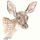 Little Fawn & other animals . % Laura O tarafından hazırlanan Sulubo, Ve a Resim projesi - 01.07.2021